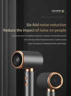 Ionic Hair Dryer